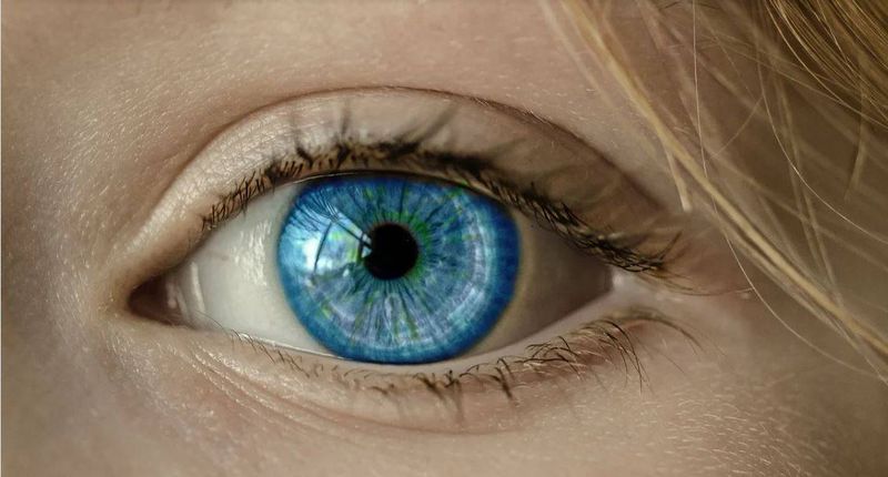 Les indemnités journalières de l'orthoptiste libérale en AT pour grossesse pathologique
