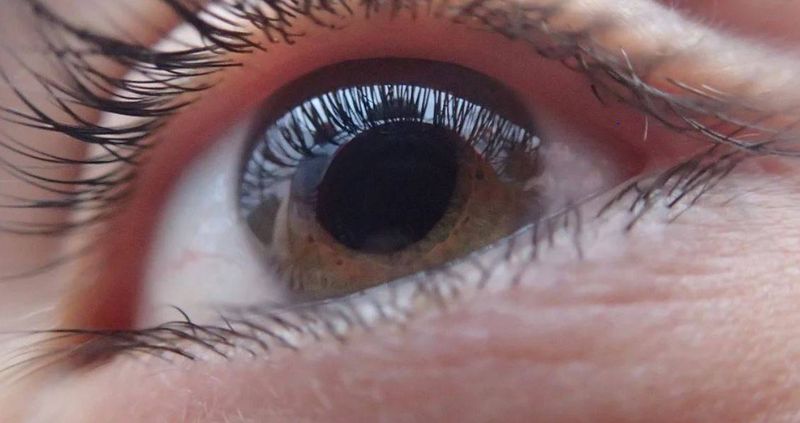 L'indemnisation CPAM de l'orthoptiste libérale en arrêt de travail pour grossesse pathologique