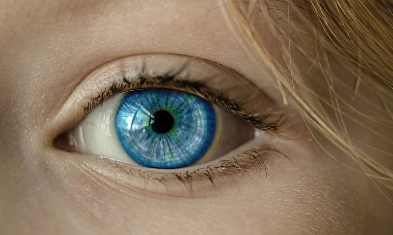 Nouvelles modalités d'indemnisation de l'arrêt de travail de  l'orthoptiste libéral