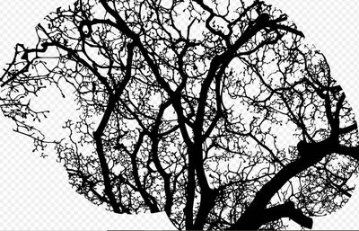 Notre zone d'activité pour ce service Meilleure protection sociale pour infirmier libéral